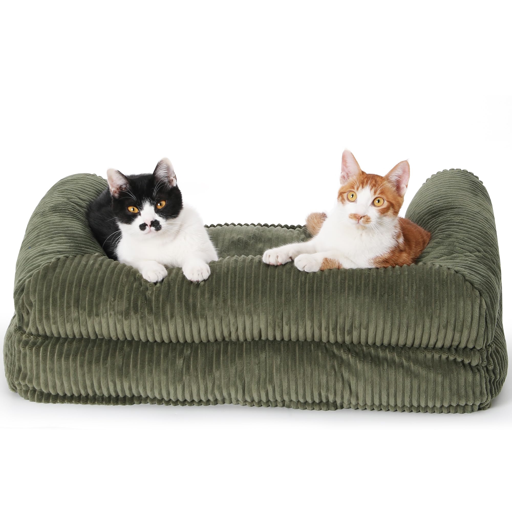 FUKUMARU size options suit cats and small dogs in various spaces.