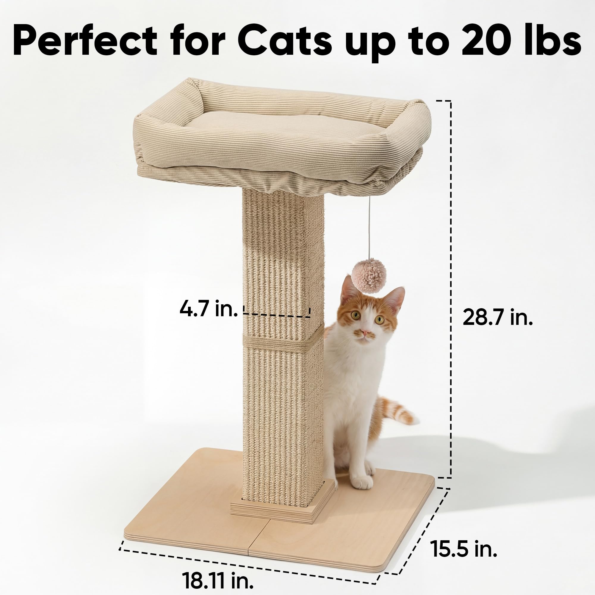 FUKUMARU solid wood base provides stable scratching fun for energetic cats.