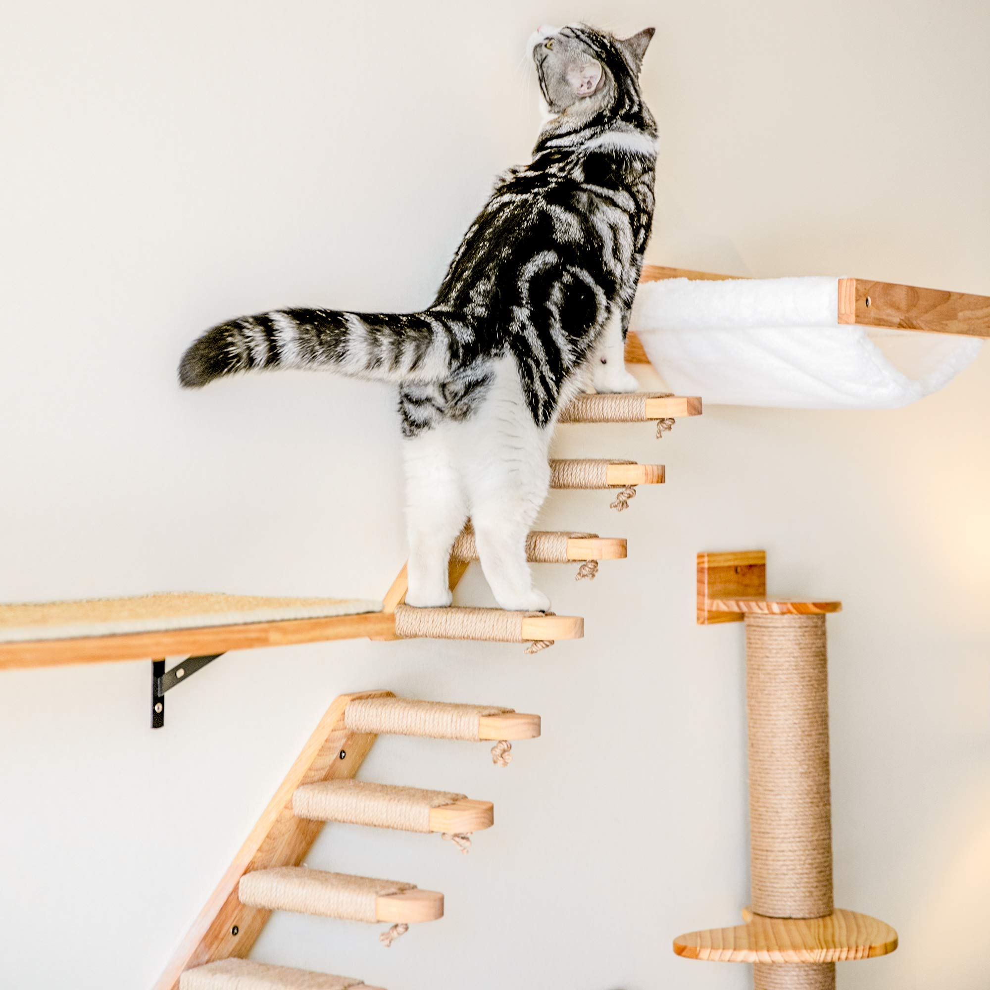 FUKUMARU sturdy wood construction ensures reliable cat wall perch