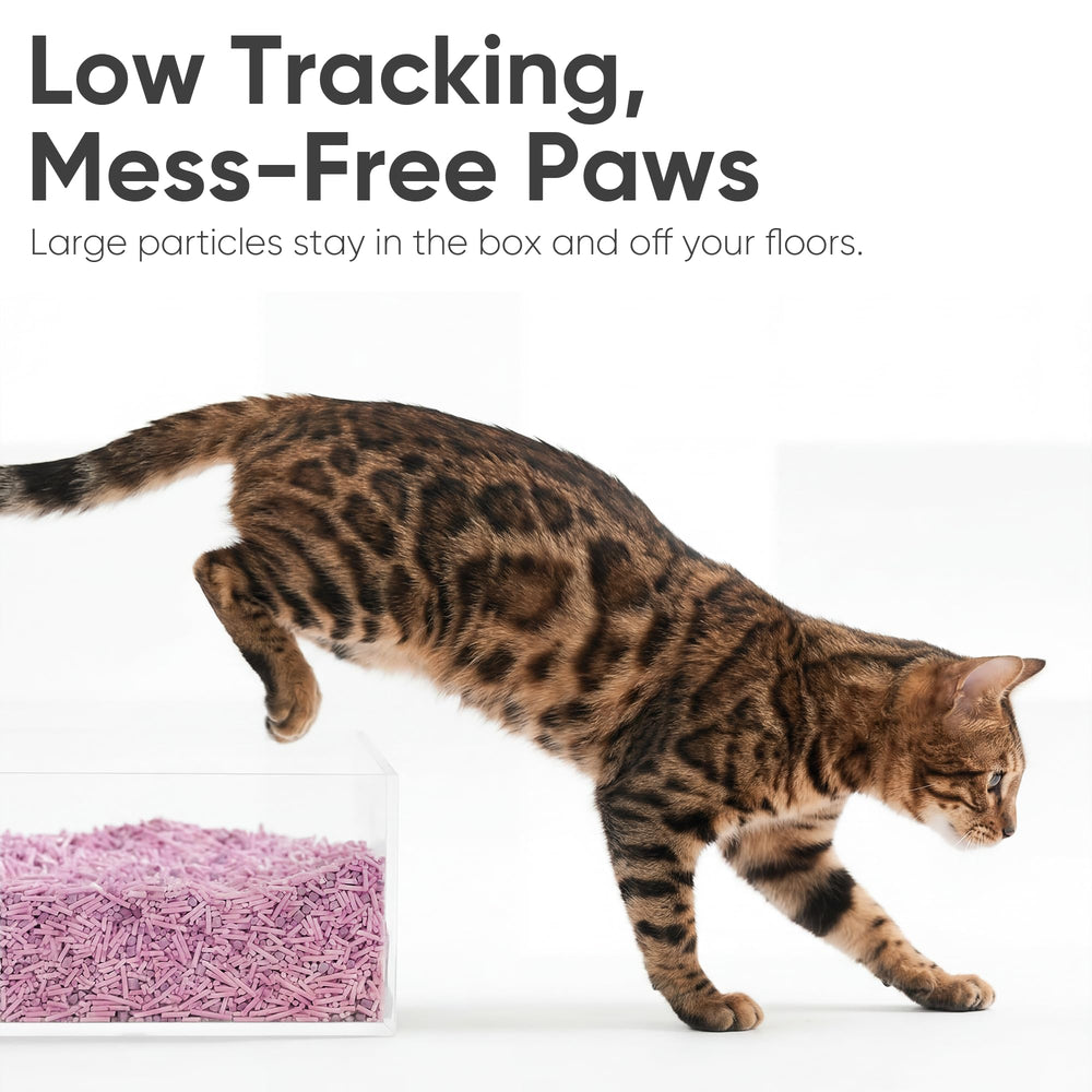 FUKUMARU Tofu Cat Litter flushable pellets in small amounts