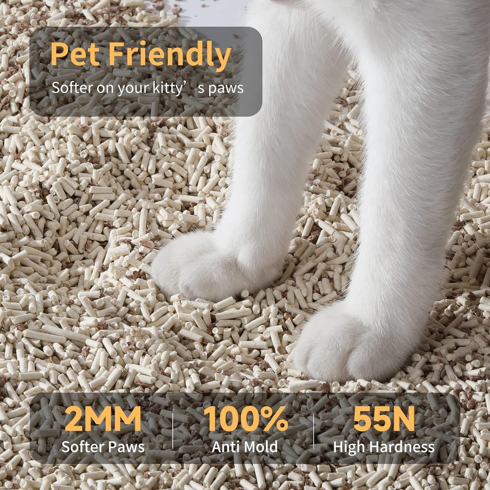 FUKUMARU Tofu Cat Litter happy cat box scene with clean litter box