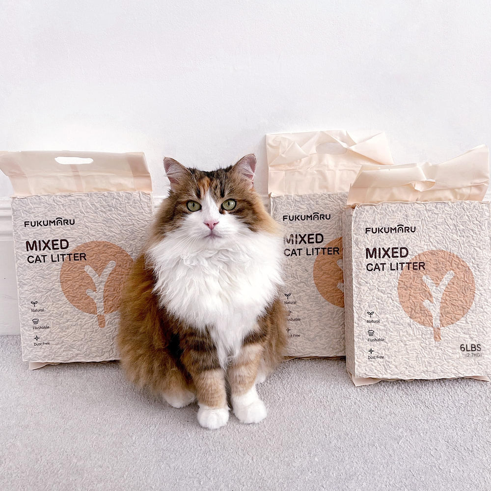 FUKUMARU Tofu Cat Litter lightweight packaging shows easy handling