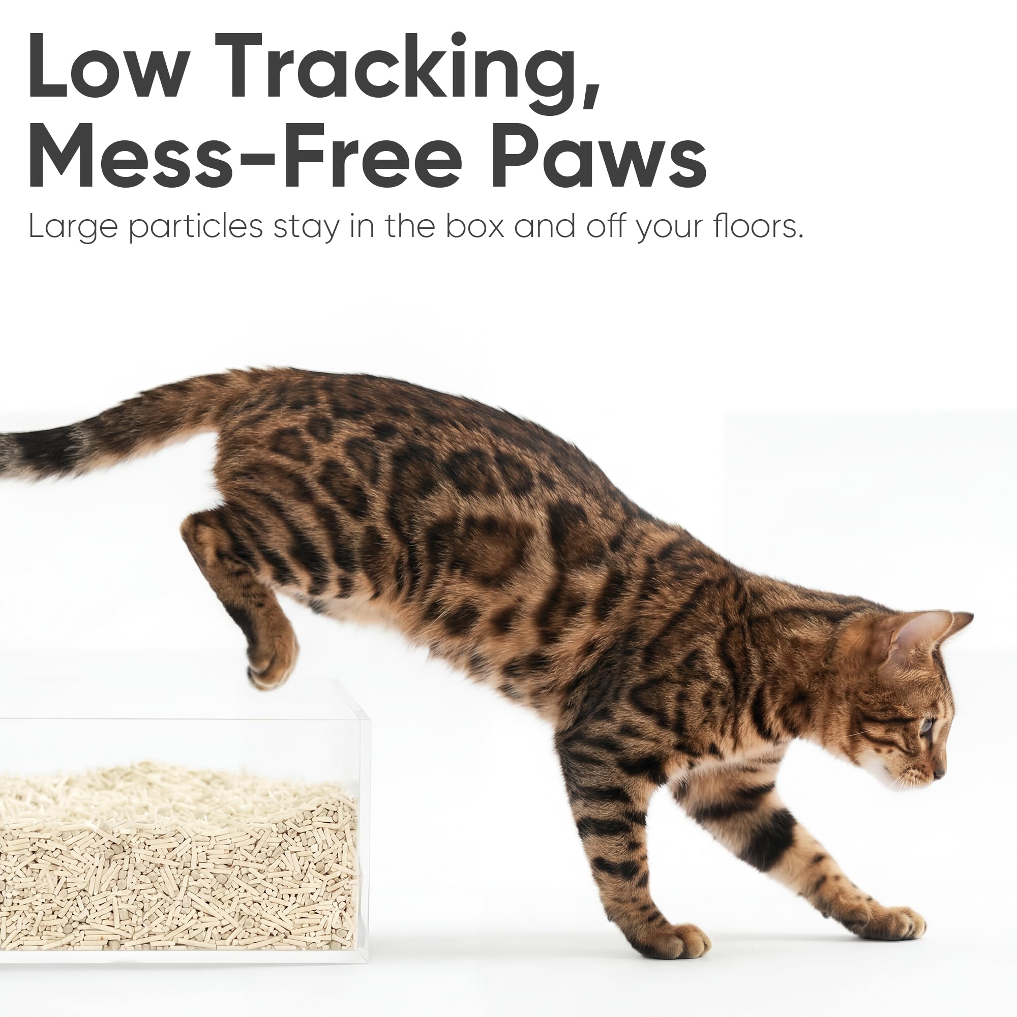 FUKUMARU tofu cat litter odor-absorption closeup demonstrating fresh space.