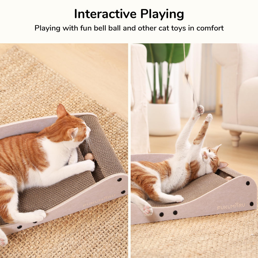 Two-cat friendly layout supports sharing without crowding