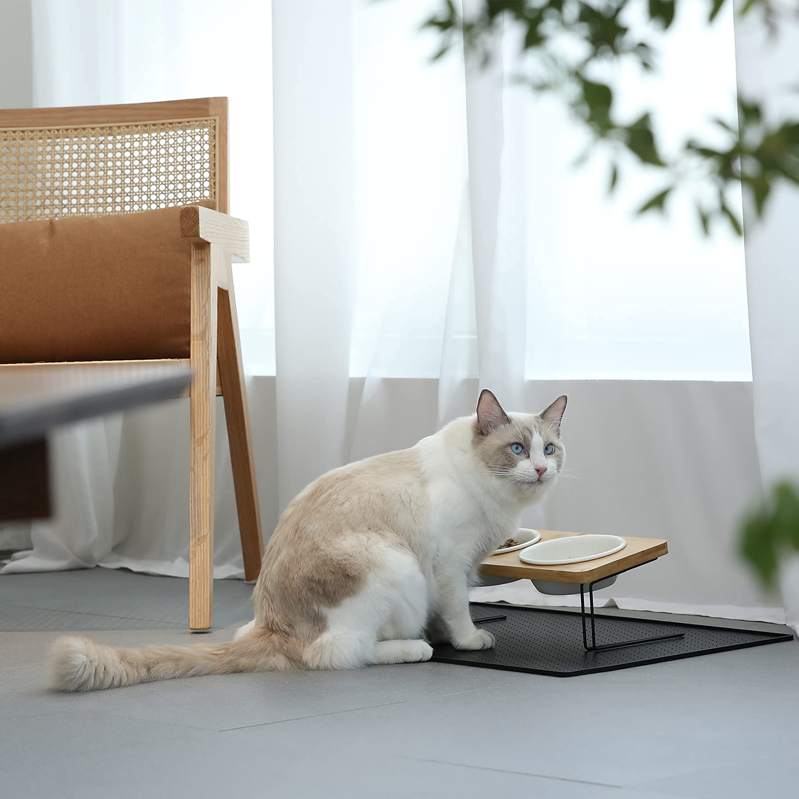 FUKUMARU whisker-friendly shallow bowls support comfortable eating