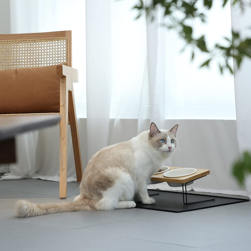 FUKUMARU whisker-friendly shallow bowls support comfortable eating