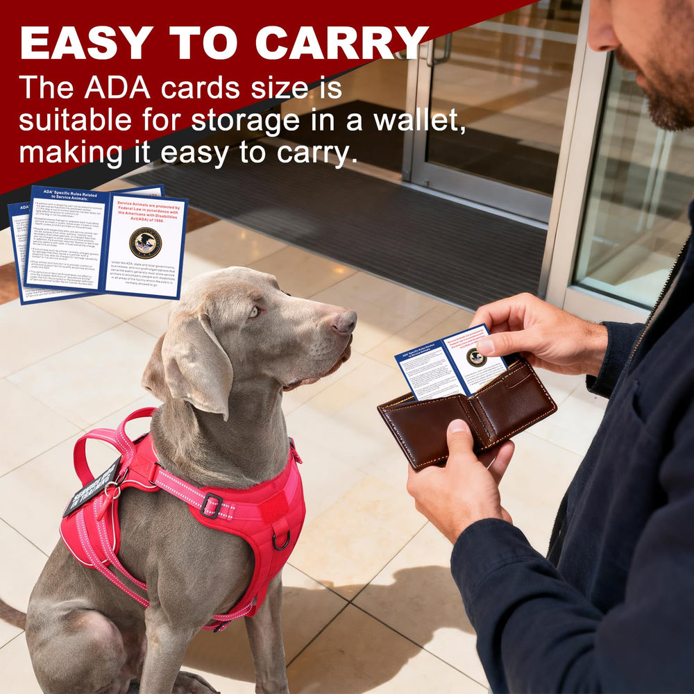 Fulaweier metal D-ring for secure leash connection.