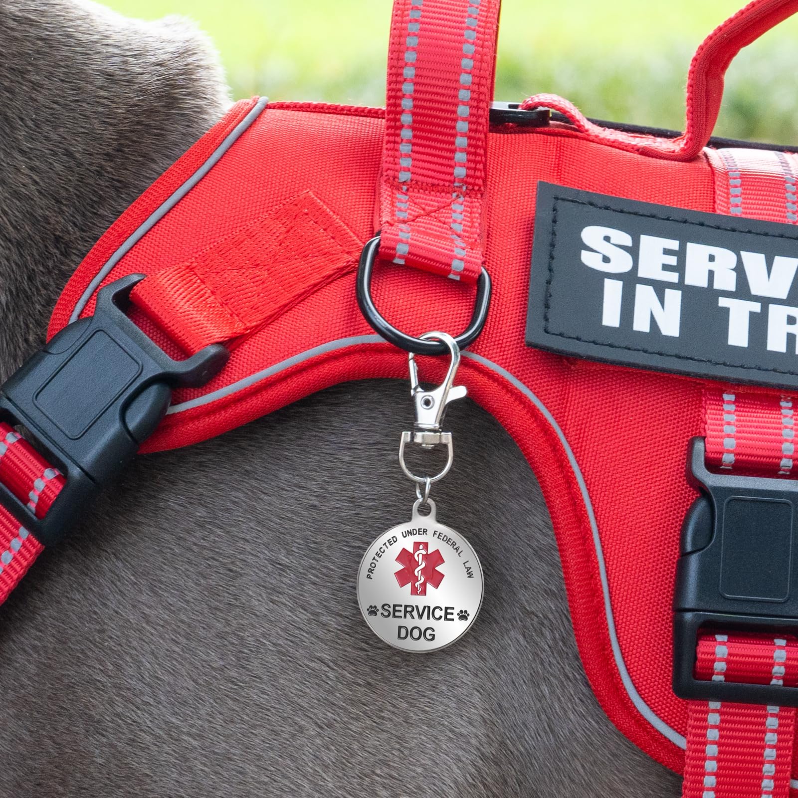 Fulaweier top handle enables quick control during crowded outings