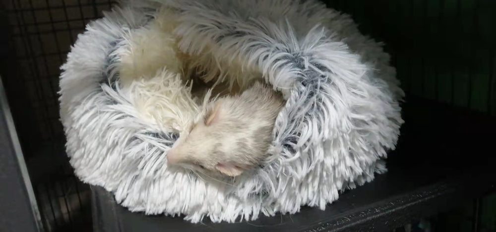 FULUE Ferret Bed low-heat dryer instruction ensures safe post-wash care.