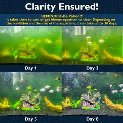 FUMAK filter clears green water for improved tank visibility.