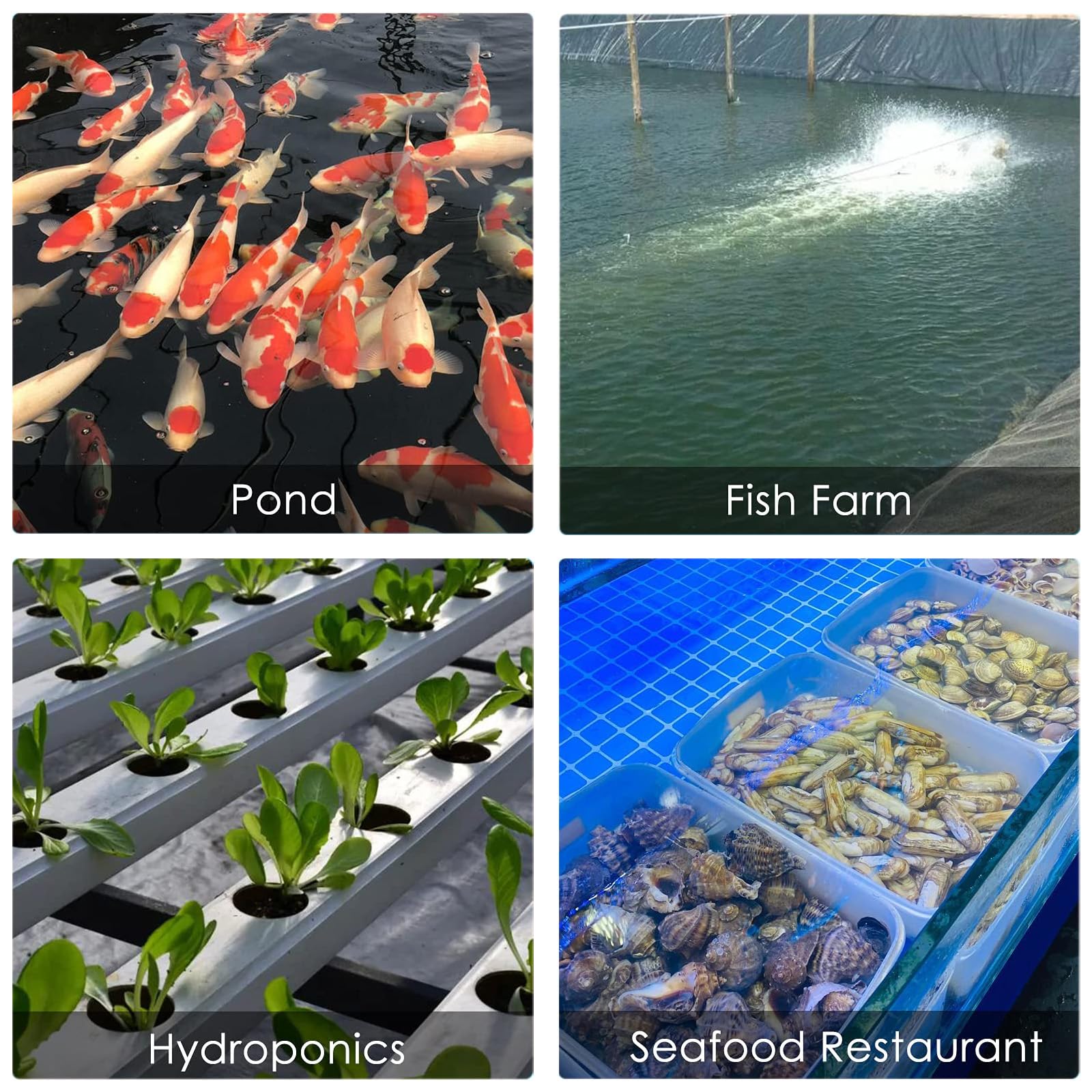 FUMAK versatile aerator suitable for aquarium, pond, and hydroponics installations.