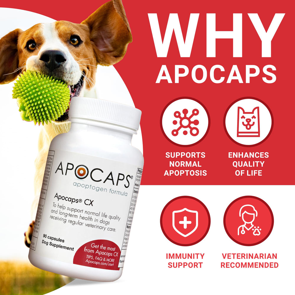 Functional Nutriments Apocaps CX label shows citrus bioflavonoids and turmeric.