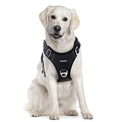 Funfox adjustable-four-point-straps offer a secure custom fit