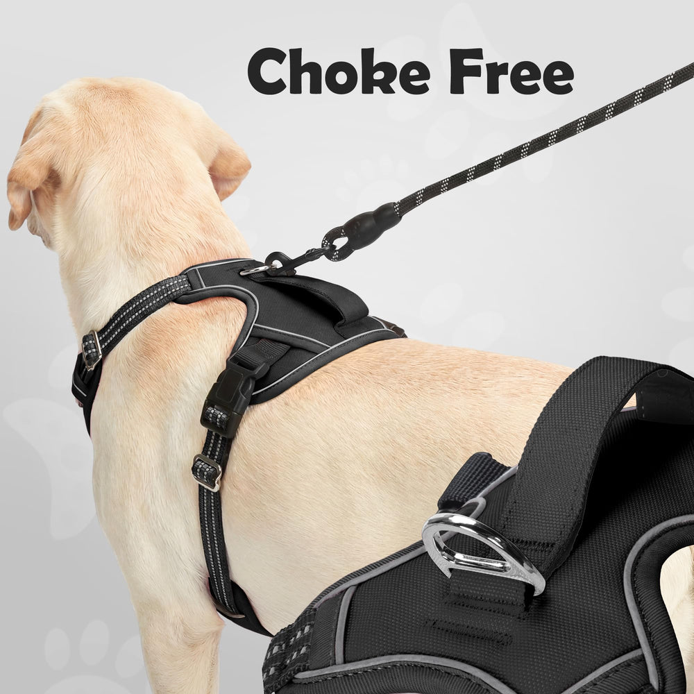 Funfox back-clip option supports calmer, looser-leash walking.