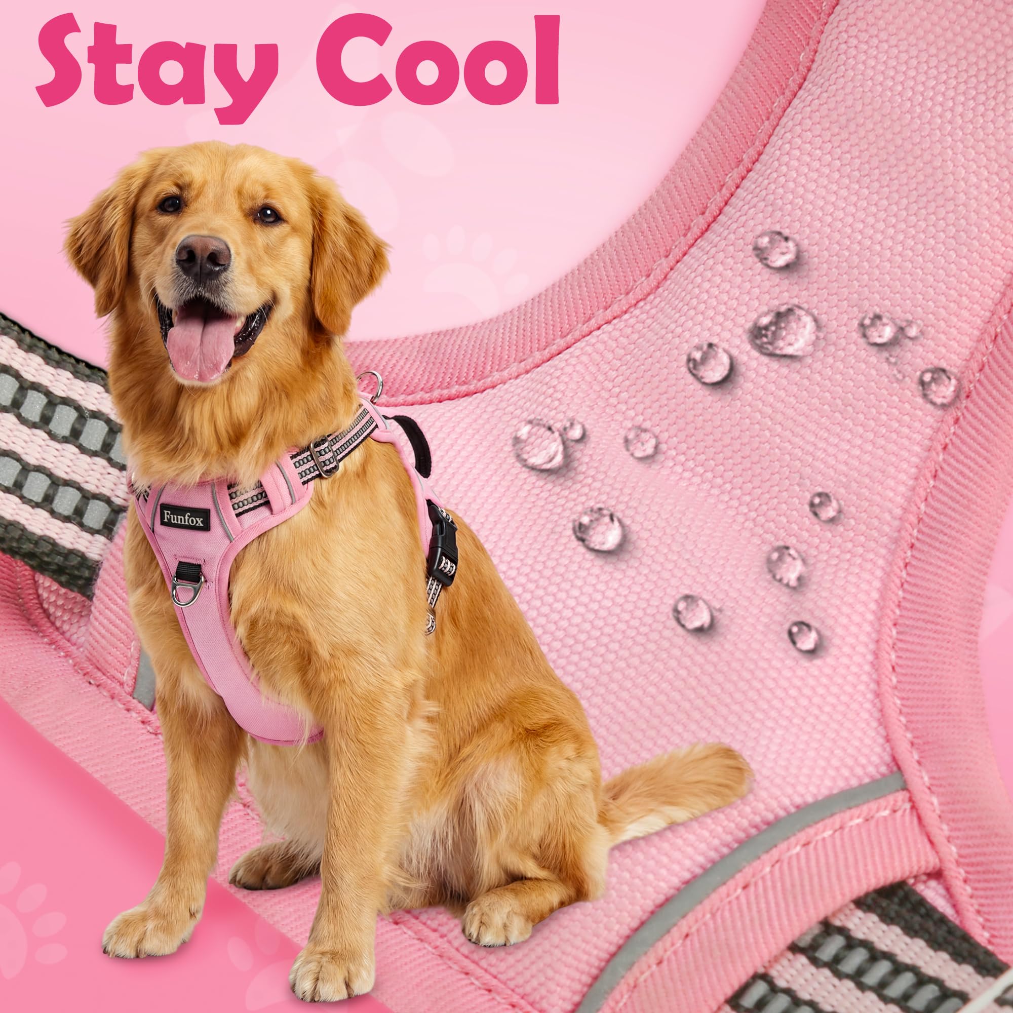 Funfox pink breathable mesh keeps dog comfortable after activity.