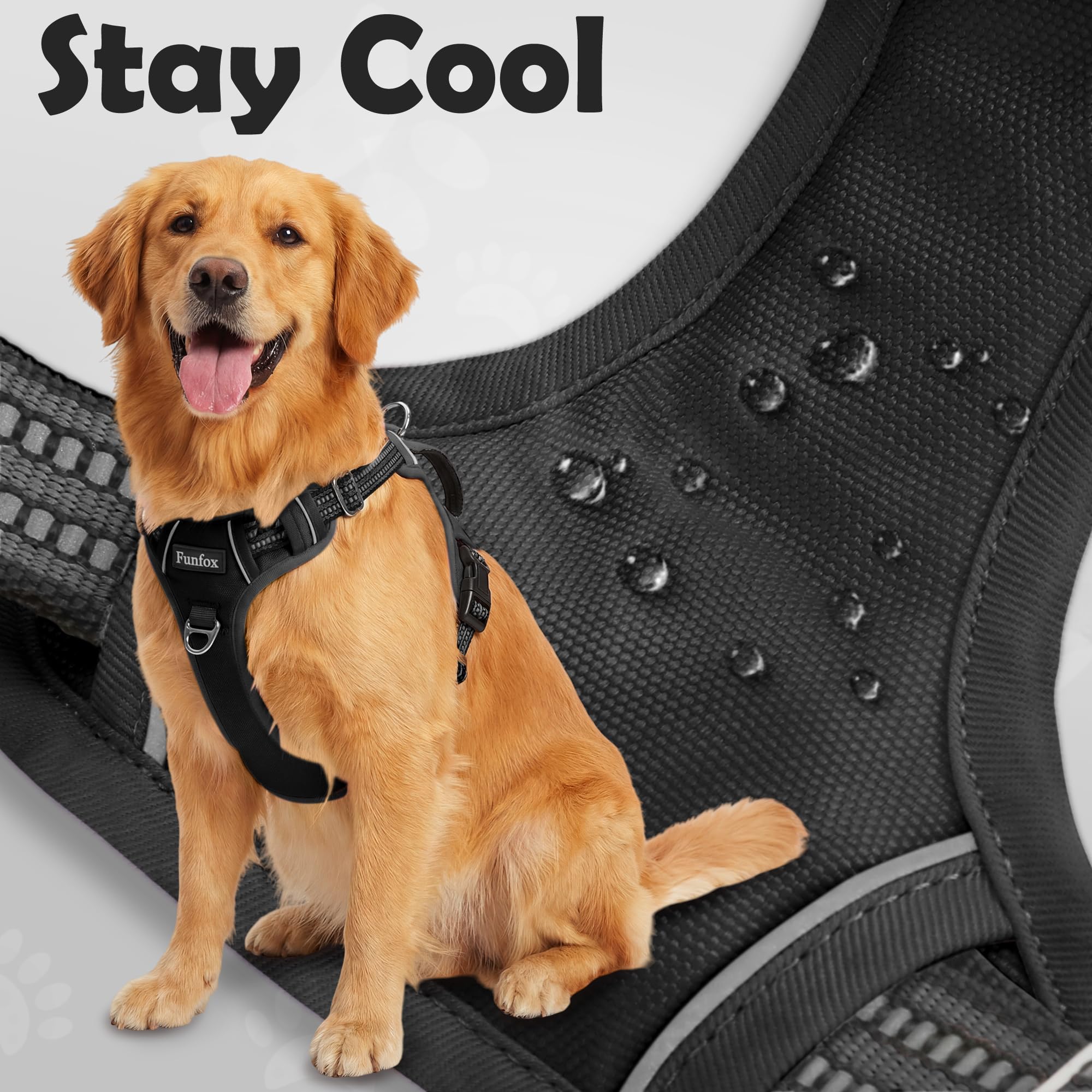 Funfox reflective strips boost visibility during low-light strolls.