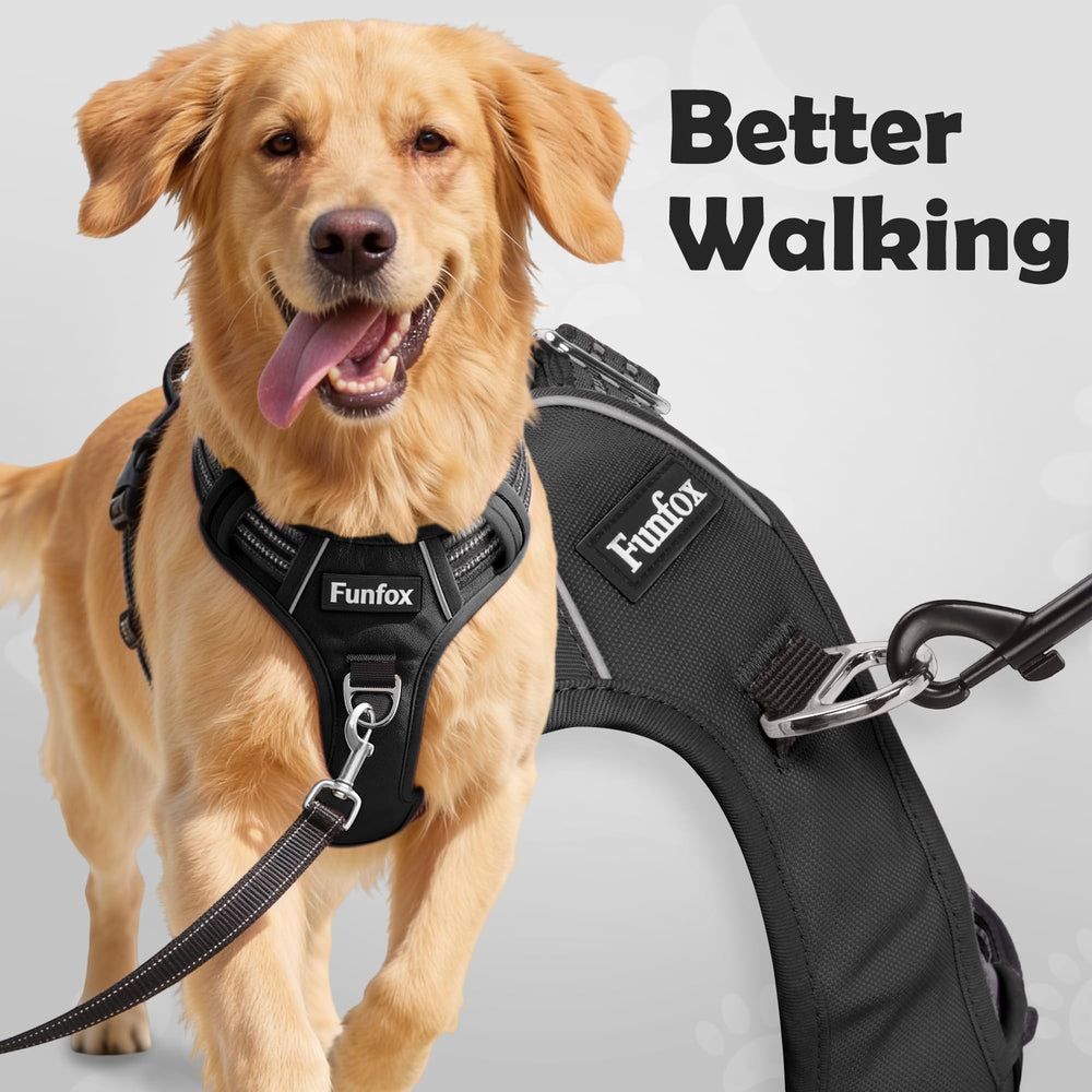 Funfox harness vertical-handle provides firm grip for quick guidance