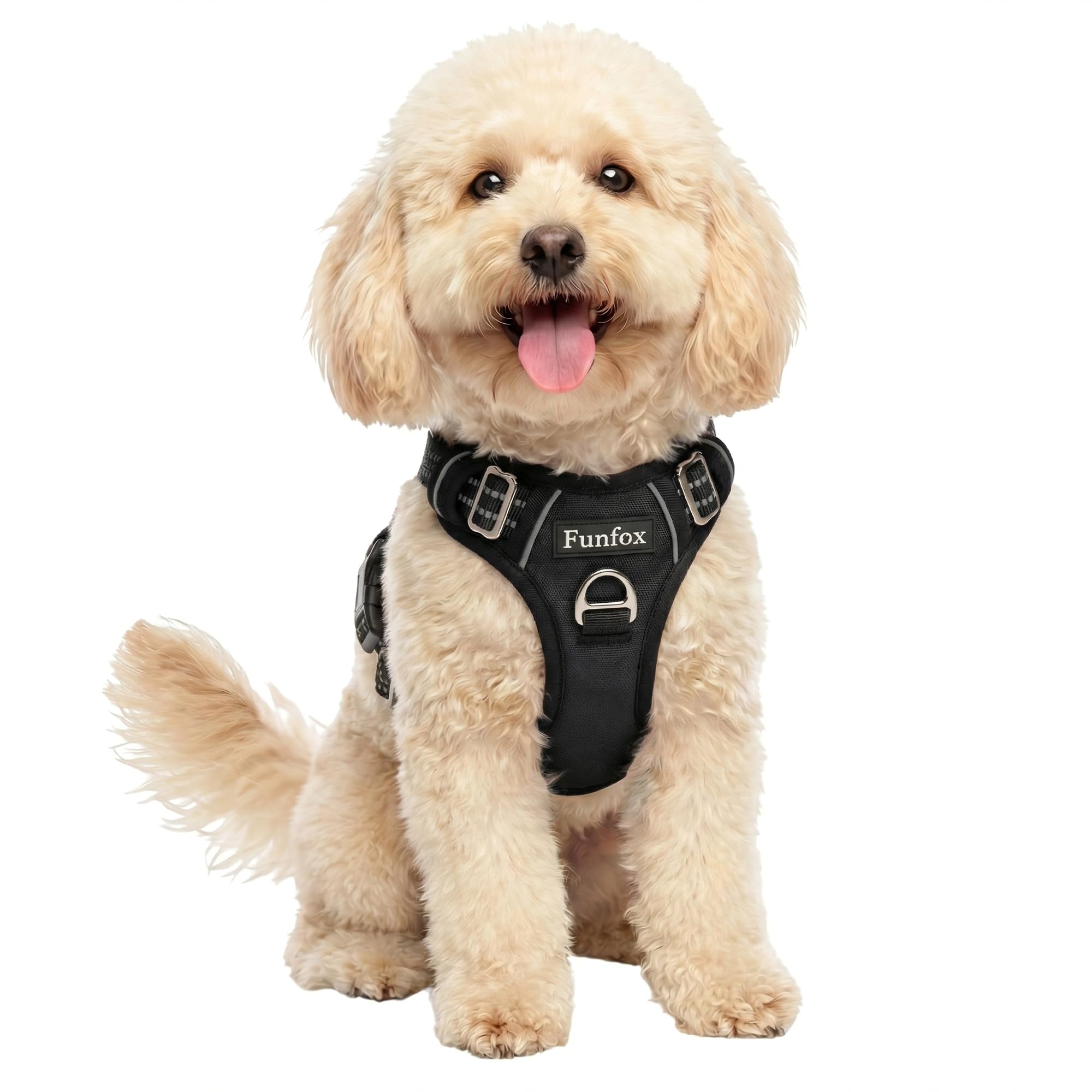Funfox dog harness with vertical handle for easy control during walks.