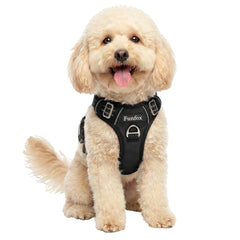 Funfox dog harness with vertical handle for easy control during walks.