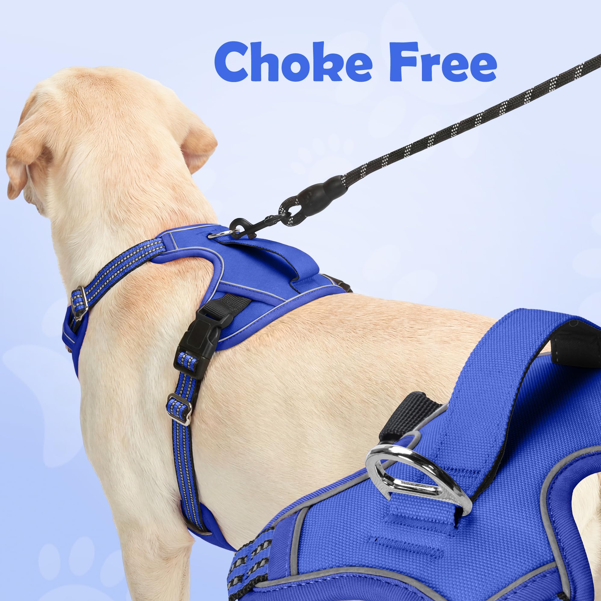 Funfox adjustable-straps illustrate perfect fit for many dogs.