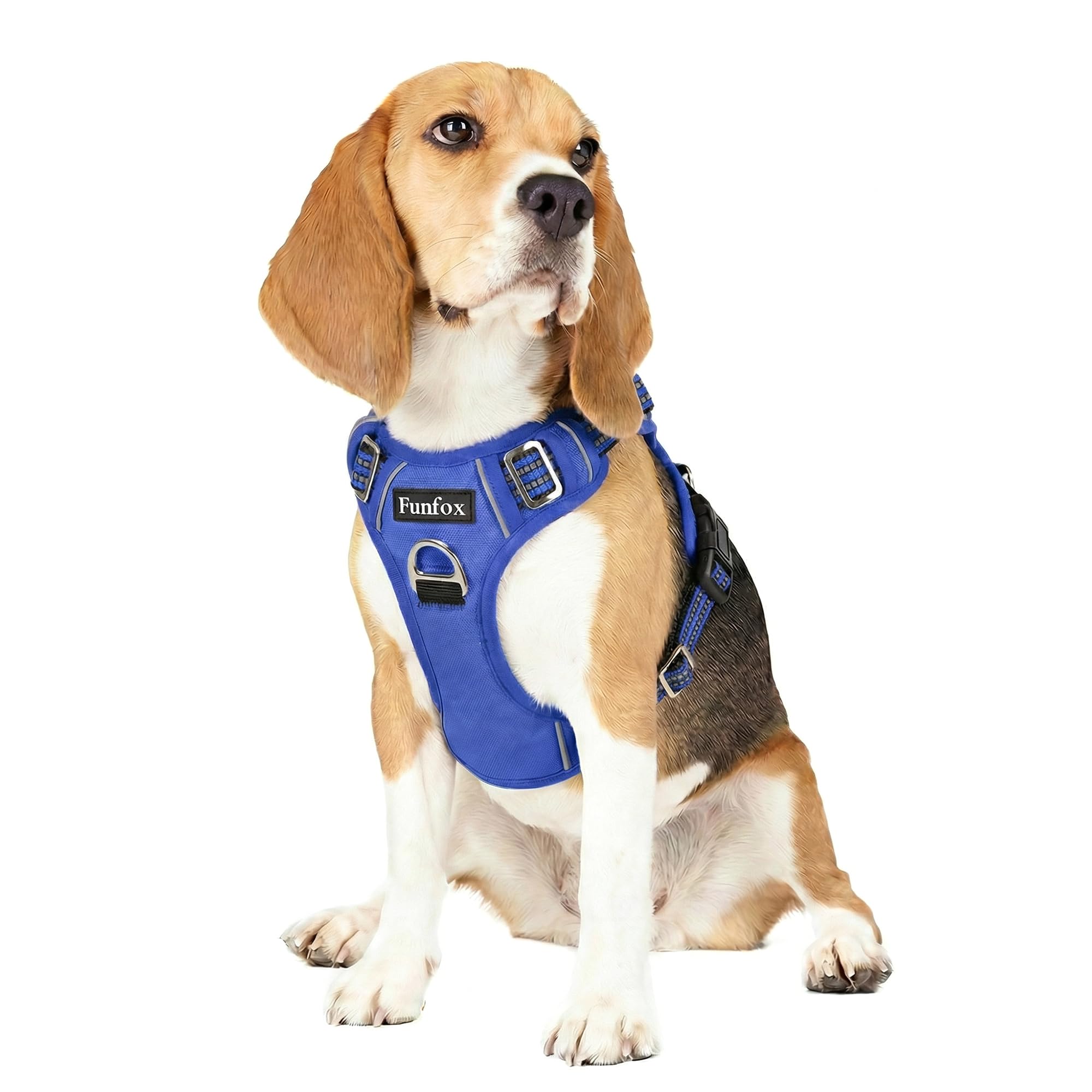 Funfox harness blue front view for secure daily walks.