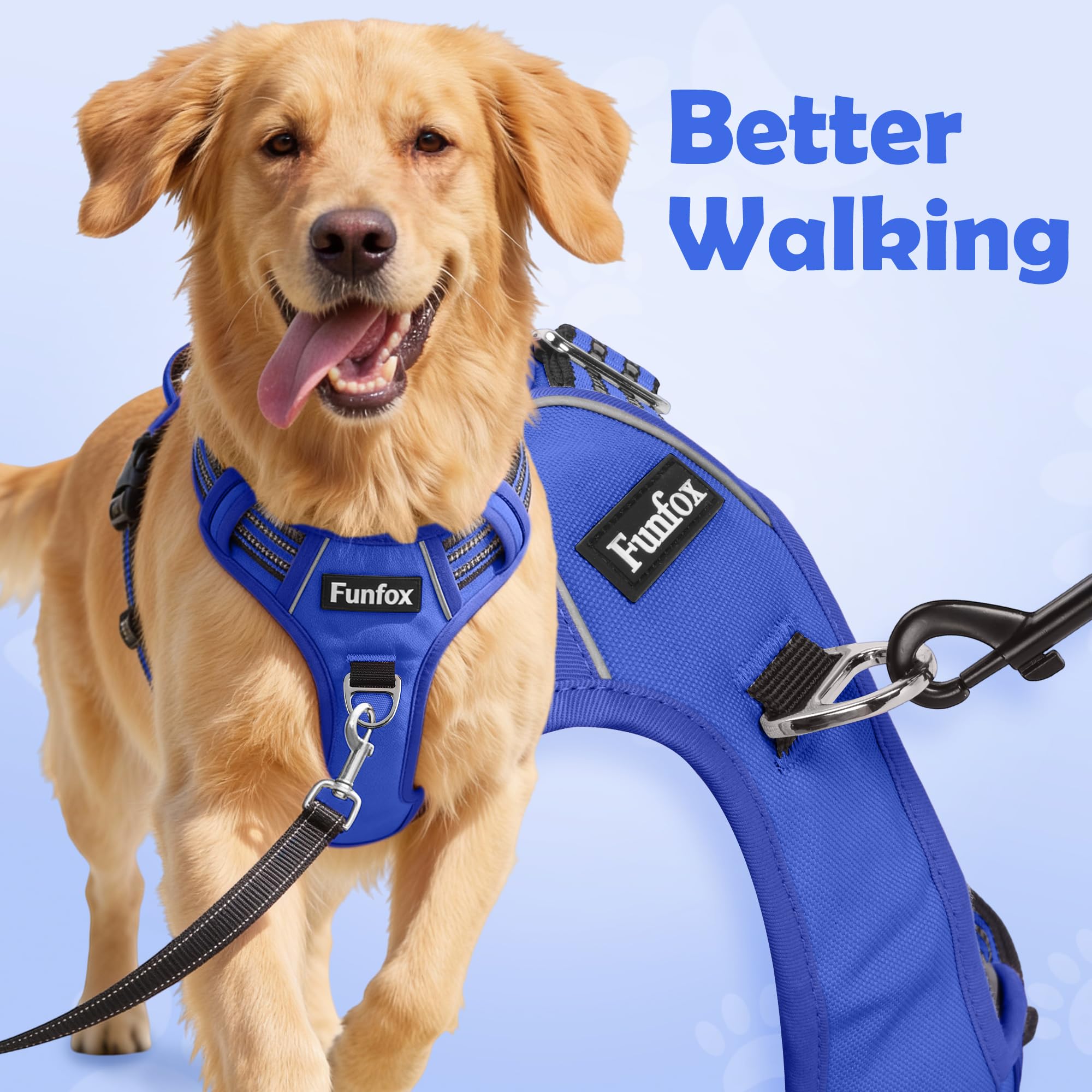 Funfox no-pull back-clip demonstrates relaxed leash control.