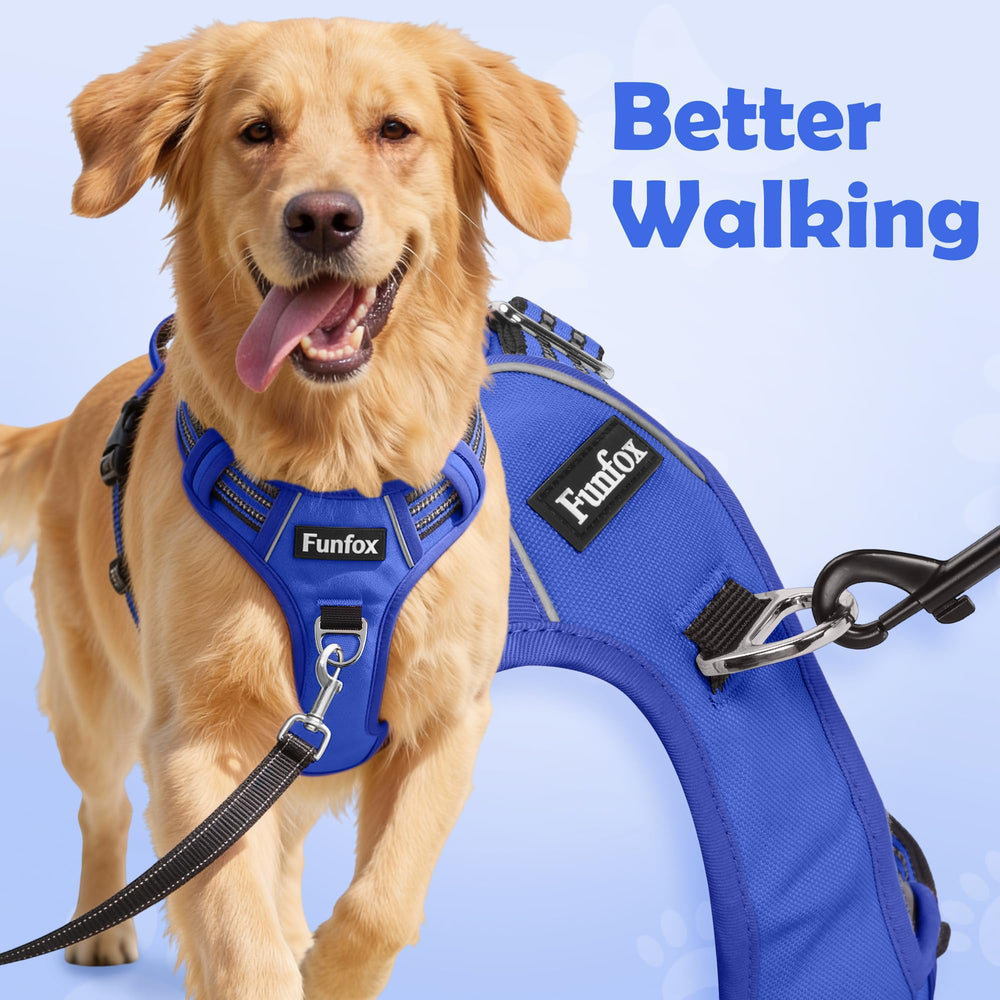 Funfox no-pull back-clip demonstrates relaxed leash control.