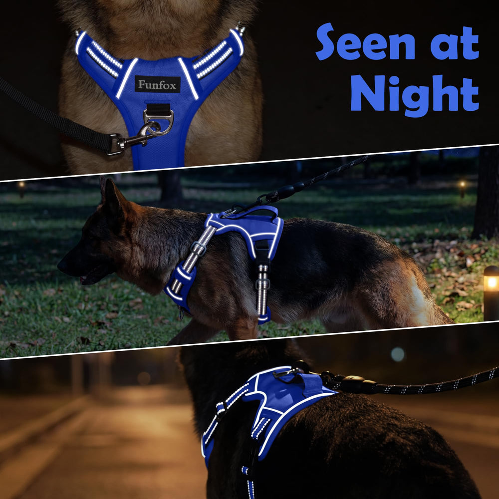 Funfox quick-release buckles highlight simple fitting process.