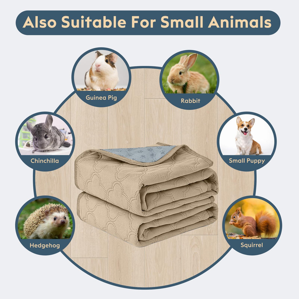 FunFurry dog pad in home setting improves cleanliness and comfort.