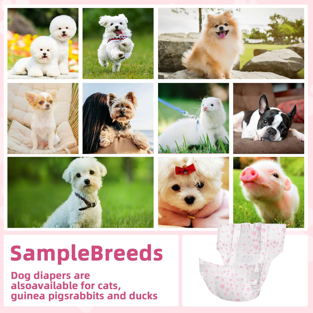 FUNLIYING versatile diapers suitable for puppies to seniors.