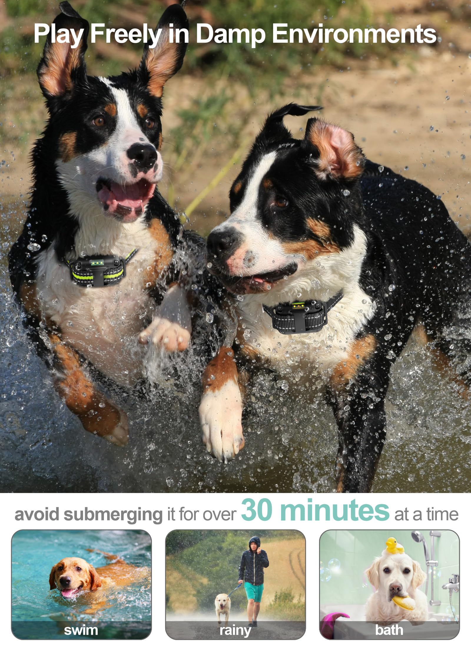 FunniPets LED lights enhance nighttime visibility for safer walks