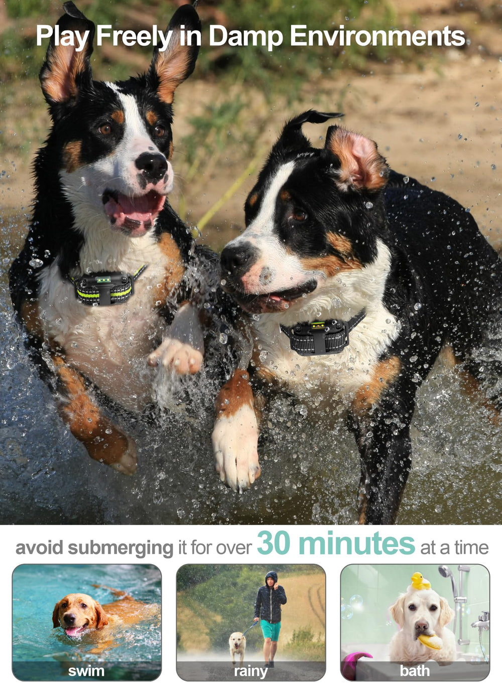 FunniPets LED lights enhance nighttime visibility for safer walks