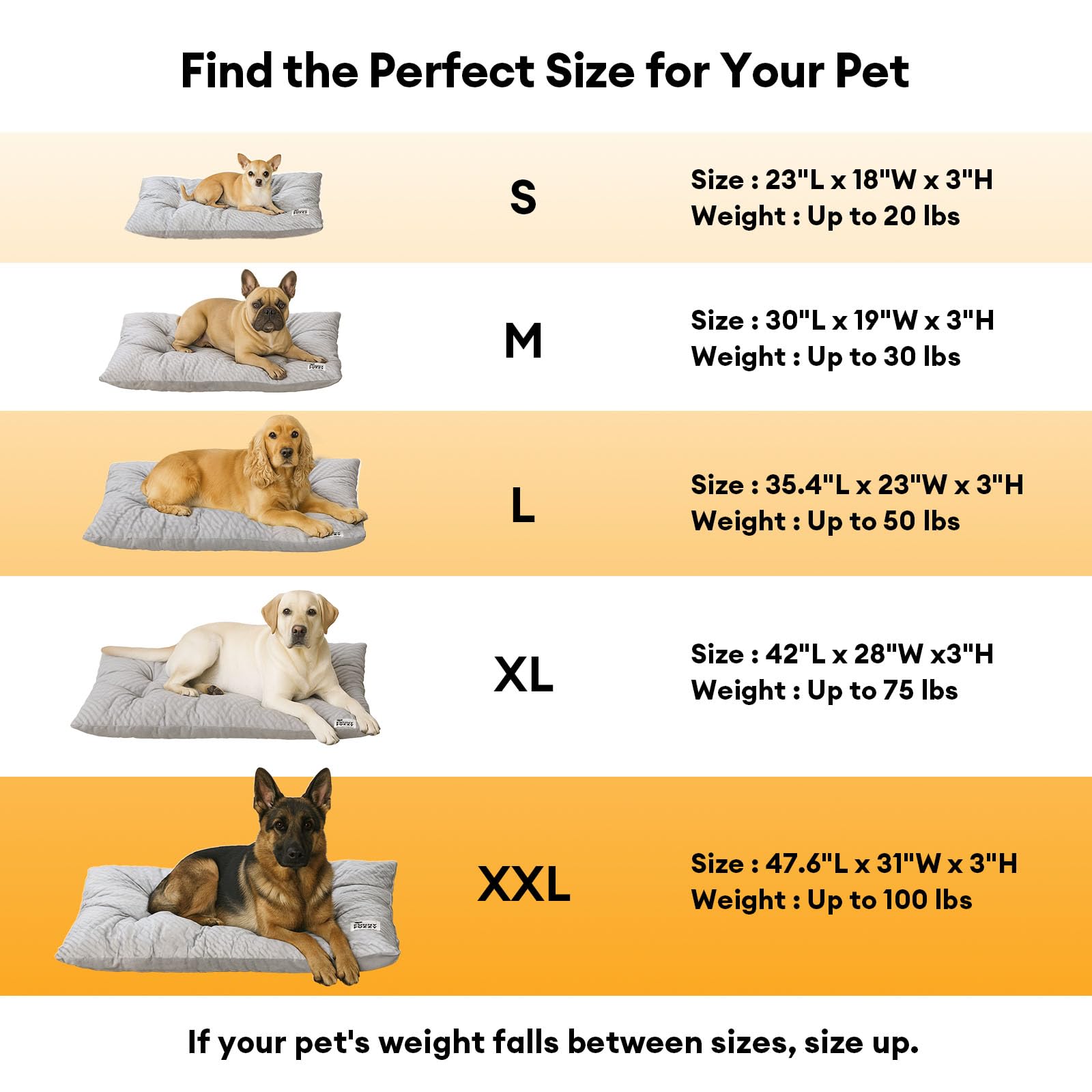 FUNNY FUZZY 30x20 crate bed fits standard crates for medium dogs