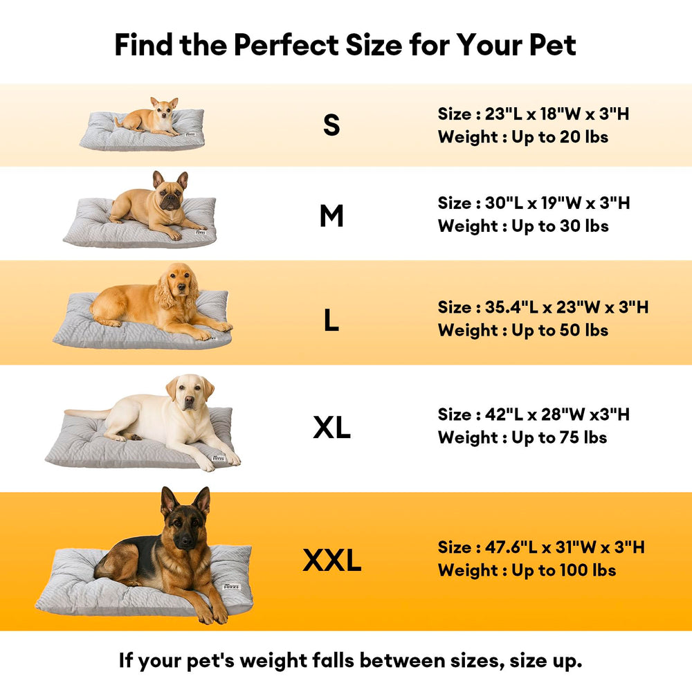 FUNNY FUZZY 30x20 crate bed fits standard crates for medium dogs