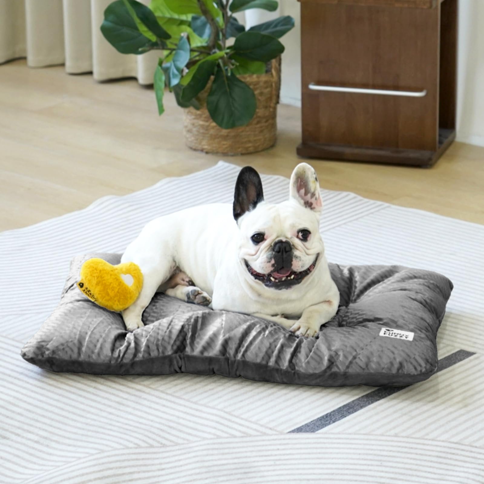 FUNNY FUZZY easy-clean washable crate pad ready for machine wash