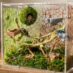 Funtinshdy Brown mesh net adds natural concealment and navigation for arboreal spiders.