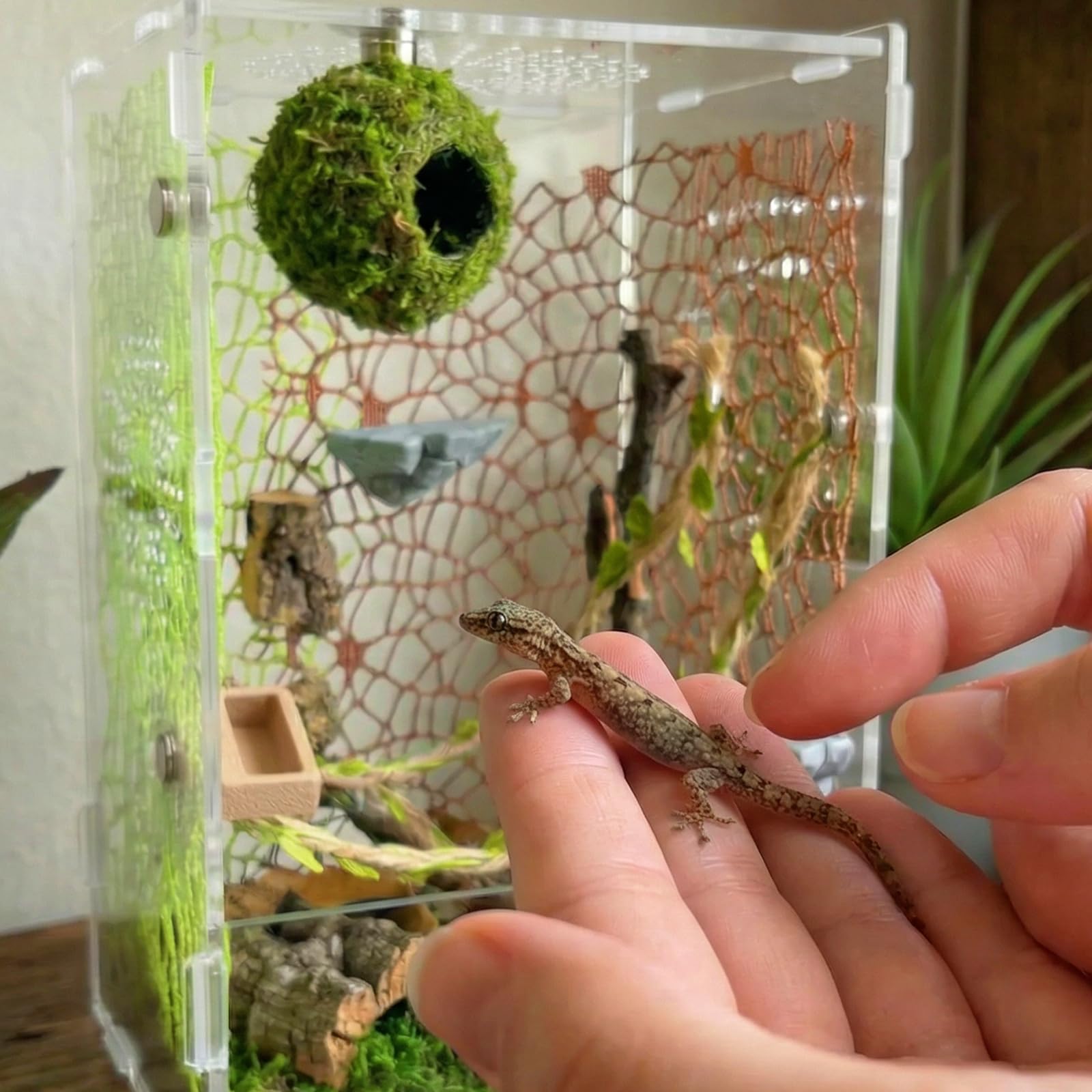 Funtinshdy Magnets Pack 6 provides extra fastening for a configurable setup.
