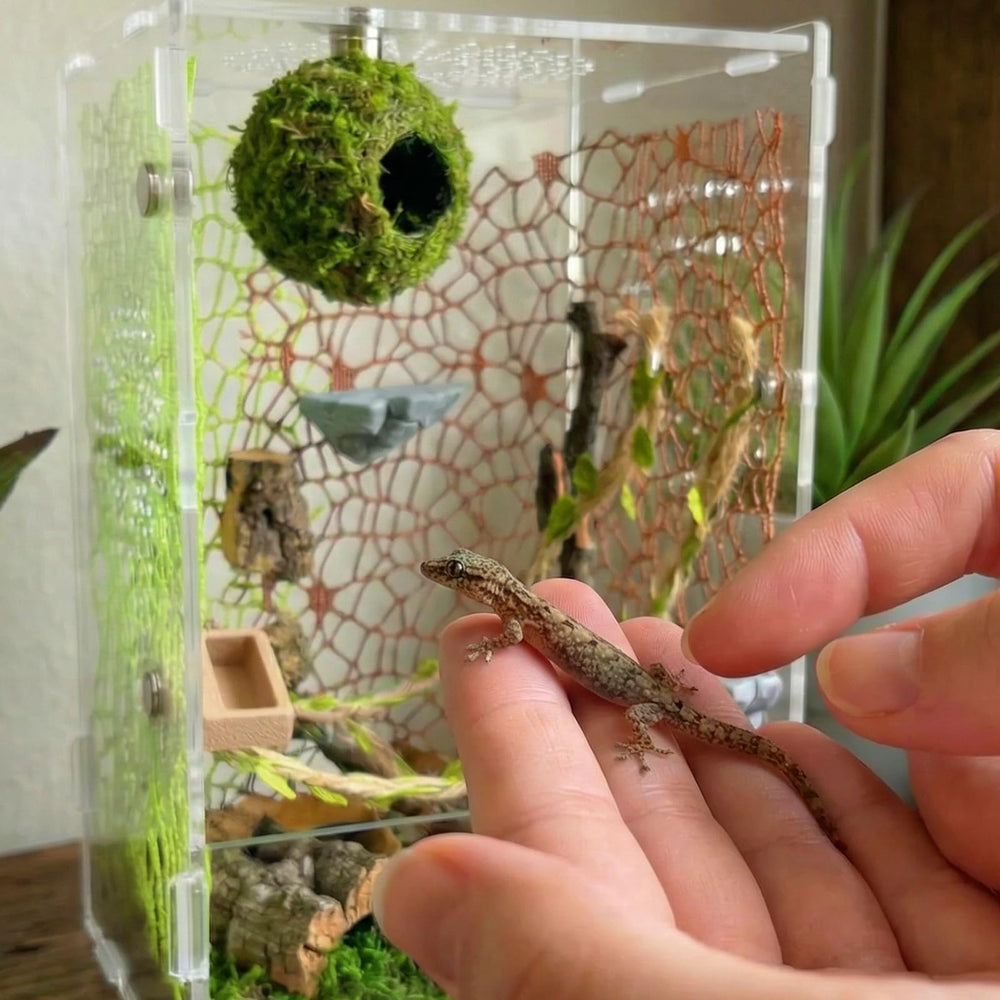 Funtinshdy Magnets Pack 6 provides extra fastening for a configurable setup.