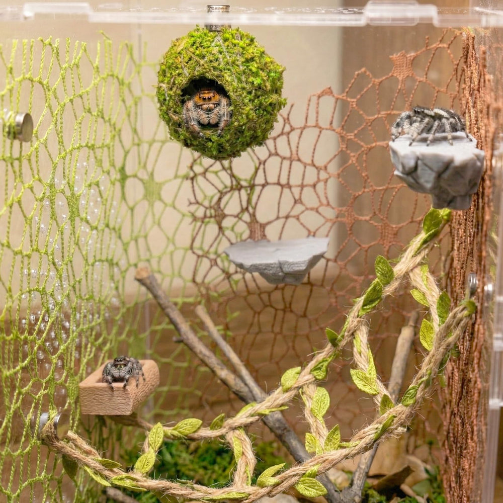 Funtinshdy Resin Rock Ledge creates stable viewing platforms against glass enclosures.