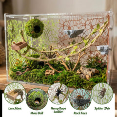 Funtinshdy Rope Ladder enables vertical exploration and hunting practice.
