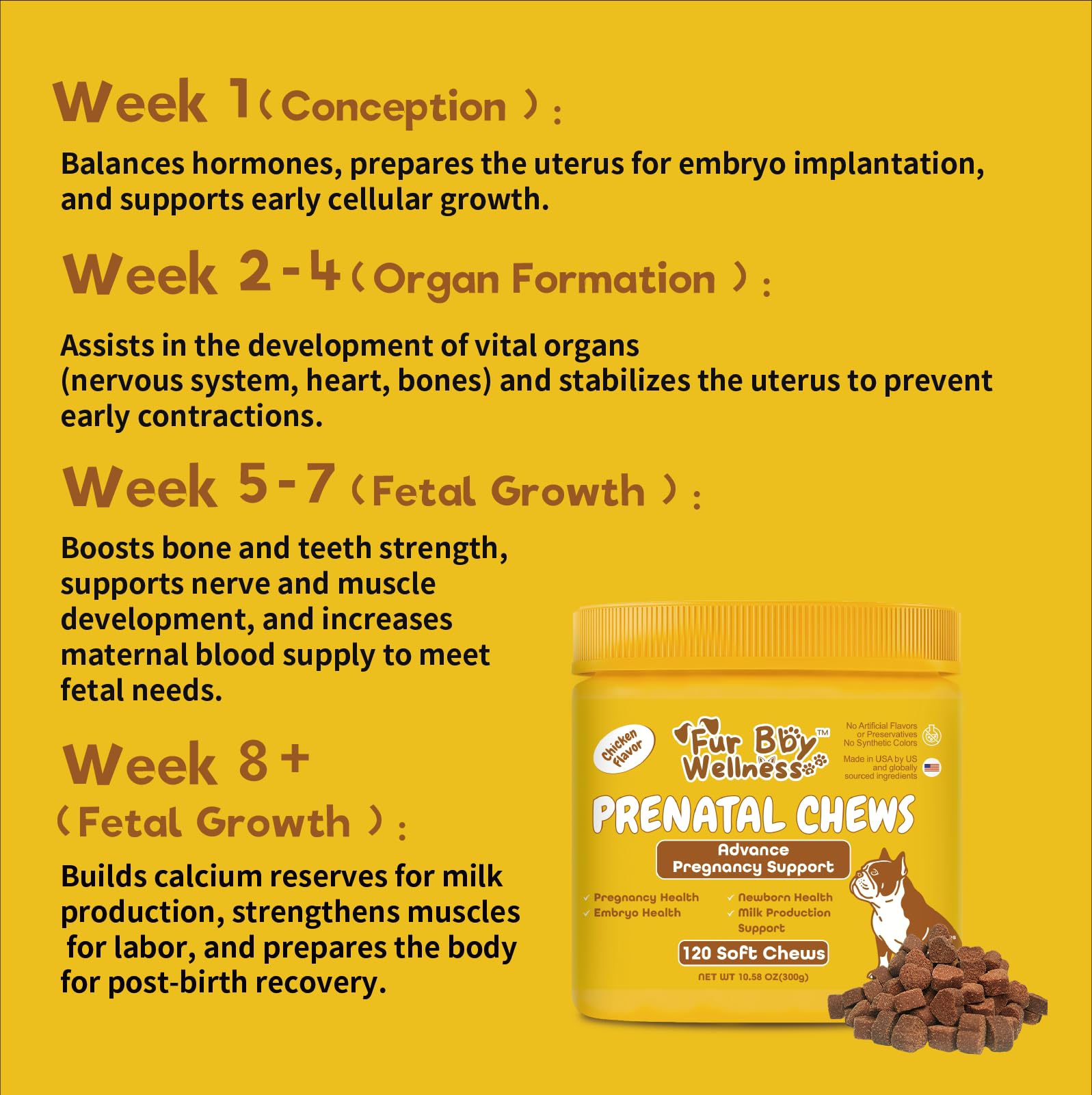Fur Bby Wellness puppy growth development concept representing healthy start