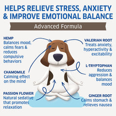 Fur Belly calming chews ingredients close-up highlighting natural botanicals for calm.