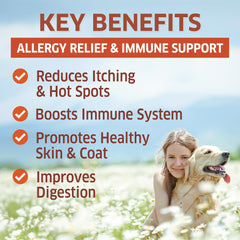 Fur Belly dog allergy relief chews in a bowl suggesting healthy skin and coat