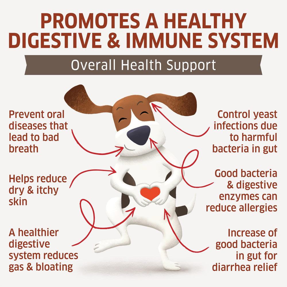 Fur Belly dog digestive enzymes chews, closeup, may ease upset stomach.