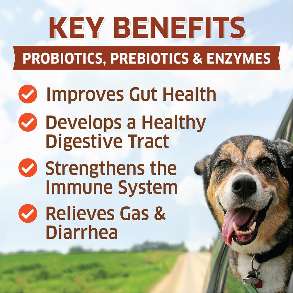 Fur Belly Probiotics label closeup, highlights natural ingredients and USA-made quality.
