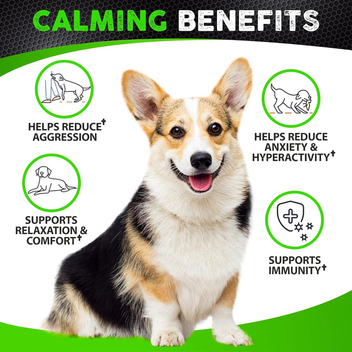 FURALAND duck-flavored calming chews ease a dog during storms