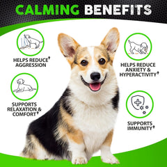 FURALAND duck-flavored calming chews ease a dog during storms