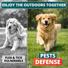 FURALAND chews offered to a dog during feeding for easy daily use.