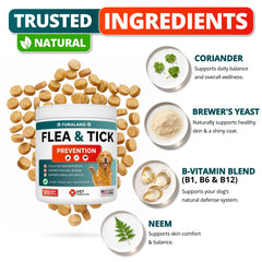 FURALAND chews taste-test scene emphasizing palatable daily preventive bite.