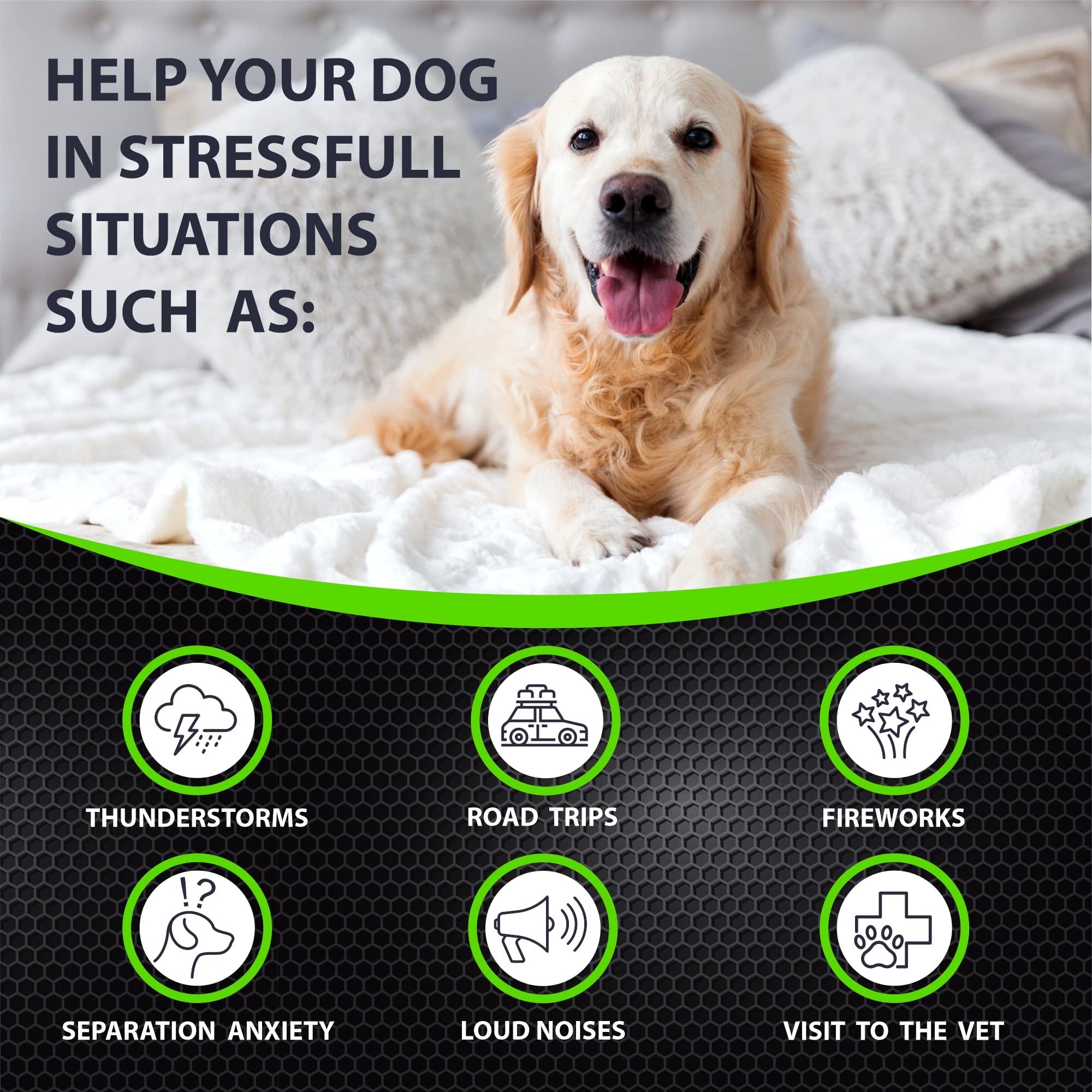 FURALAND hemp calming chews dog on road trip, travel stress relief